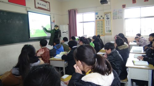亲自活动 (14)