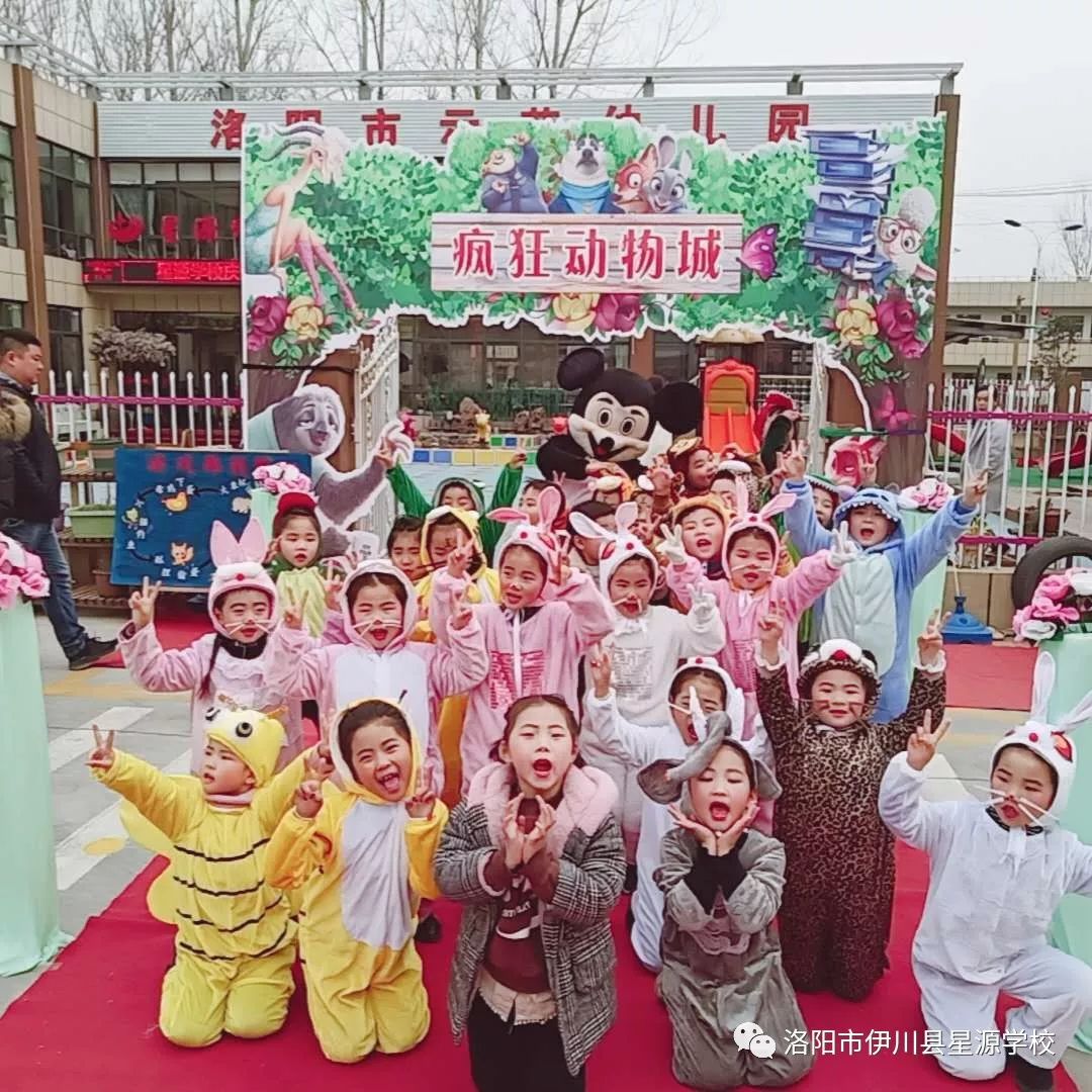 星源疯狂动物城，你参与了吗？ 