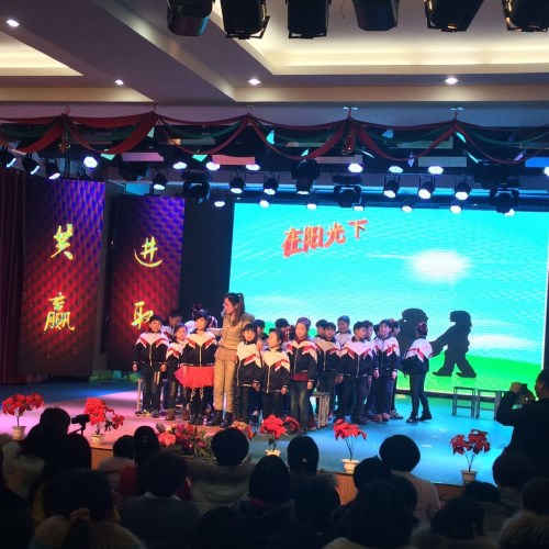 元旦文艺汇演 (13)