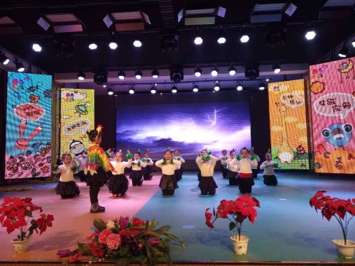 元旦文艺汇演 (11)