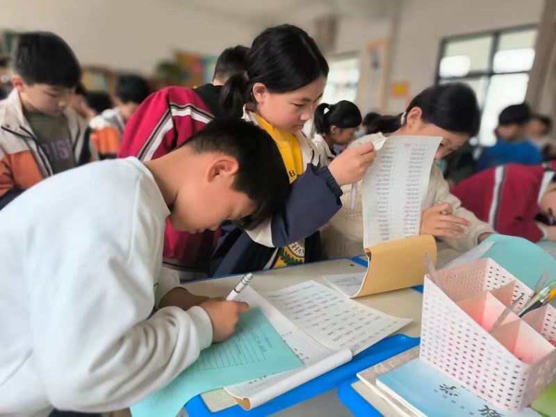 作业观摩